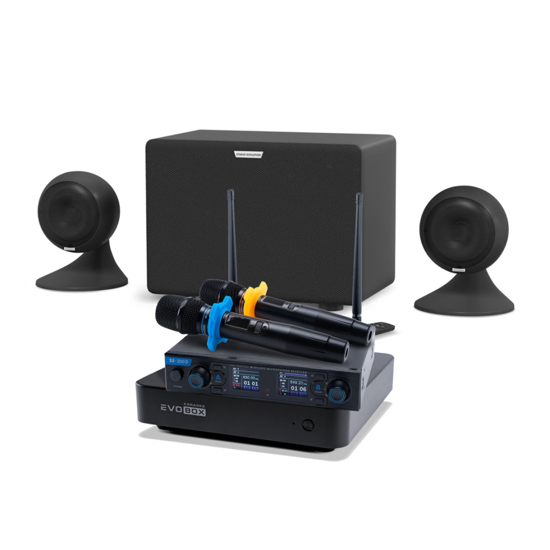 караоке-комплект EVOBOX + EvoSound Sphere 2.1 в Находке