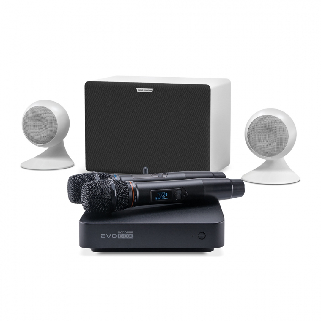 караоке-комплект EVOBOX Classic + EvoSound Sphere 2.1 в Находке