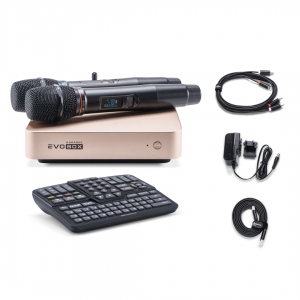 EVOBOX Plus караоке-система для дома в Находке